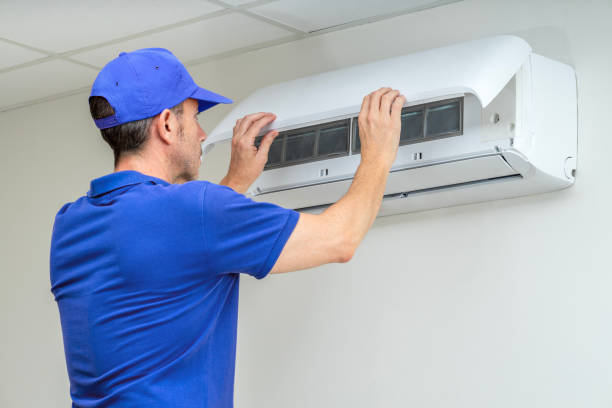 Air Duct Mold Removal in Clearwater, SC